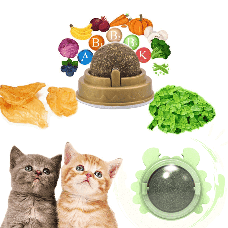 Brinquedo Nutritivo Catnip Ball ™