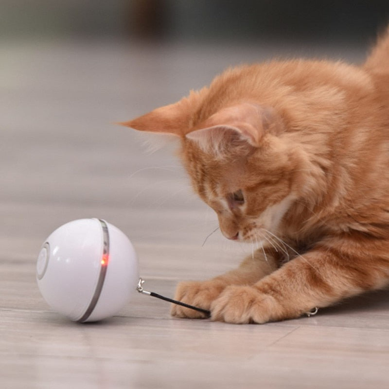 Flash Bola® Brinquedo Para Gato