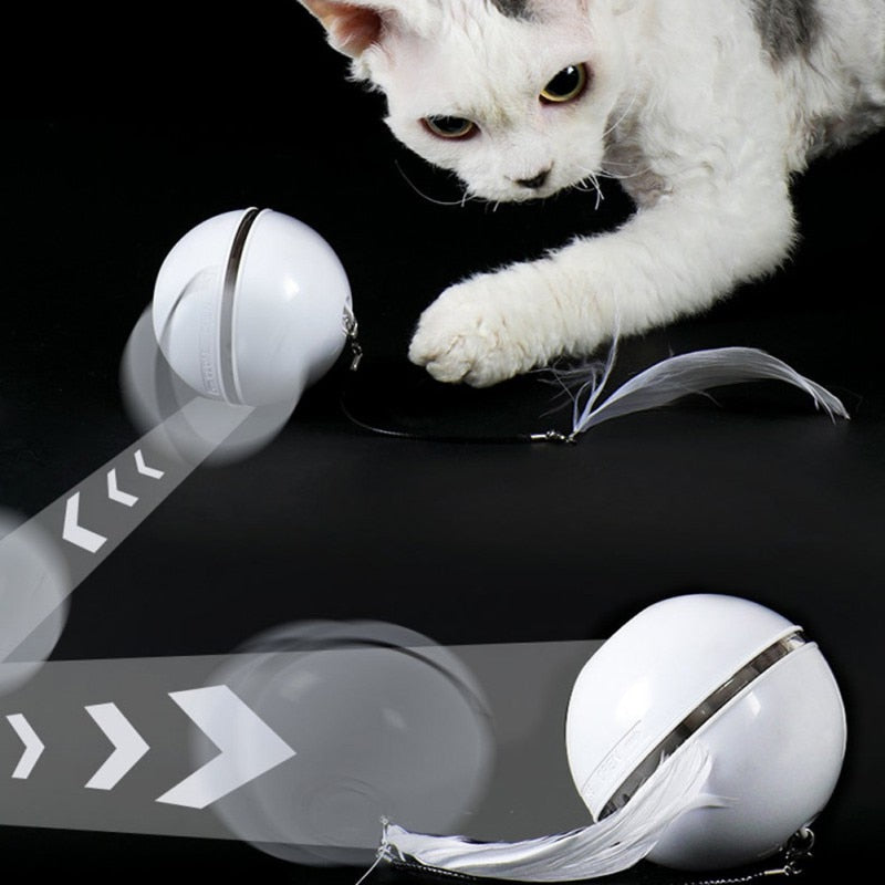 Flash Bola® Brinquedo Para Gato